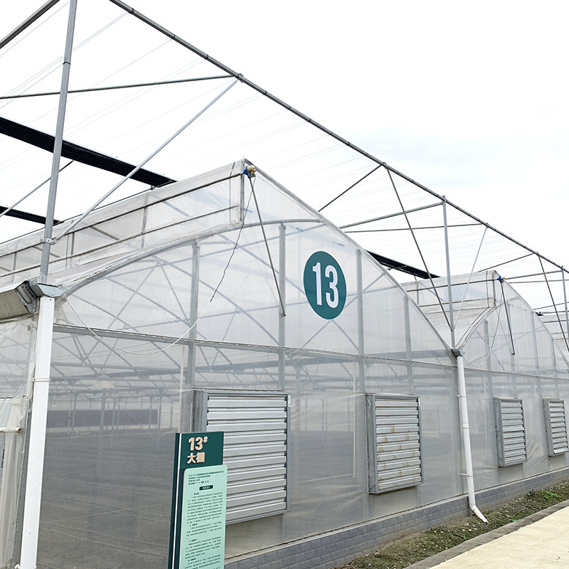 Struktur Baja Sawtooth Poly Film Low Tunnel Pertanian Multi-span Greenhouse untuk Produksi Sayuran Berkelanjutan