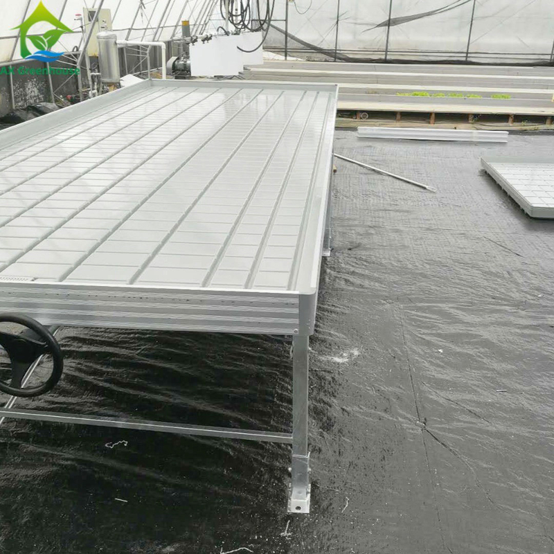 Greenhouse Rolling Benches Tumbuh Meja untuk Tanaman Tomat Benih Ebb And Flow Sistem Irigasi