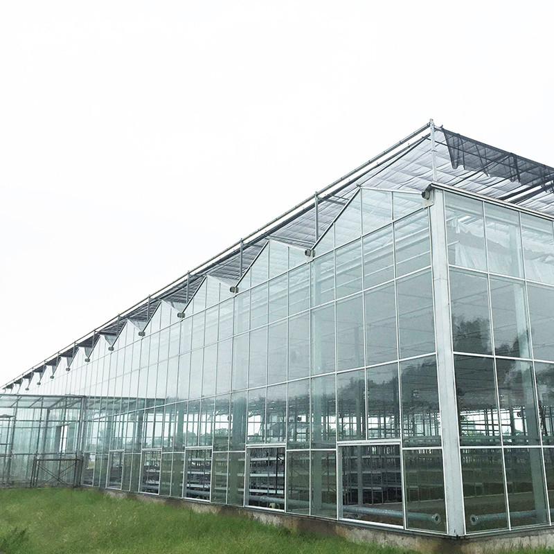 9.6m/10.8m/12m Lebar Kerangka Alloy Aluminium Kaca Pertanian Venlo Multi-span Rumah Kaca Dengan Perbentuk Atap Segitiga