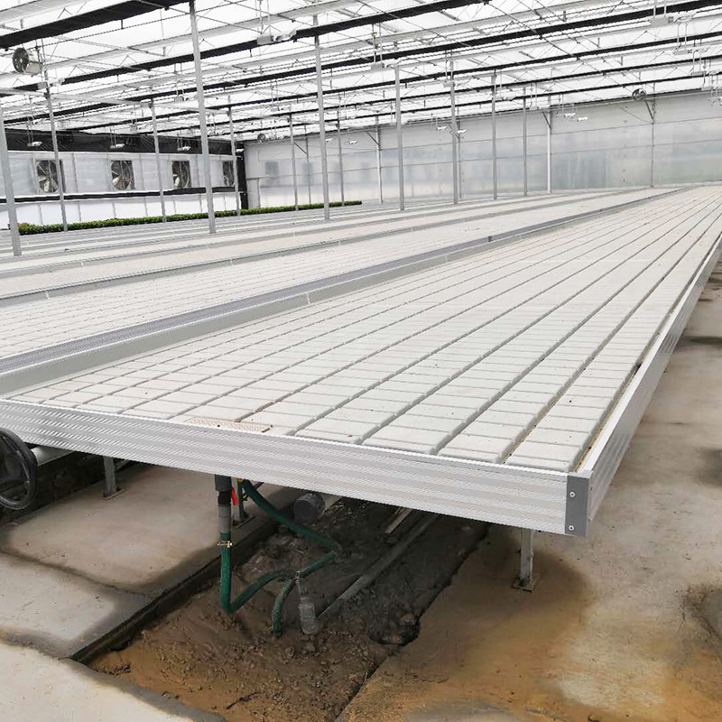 Ebb And Flow 4FT*8FT Vertikal Hydroponic Movable Rolling Bench Tabel Pertanian Dengan tiang