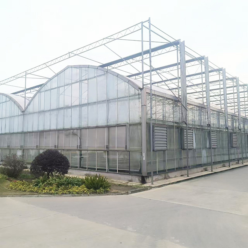 Triangle Roof Molding Komersial Multi-span Large Tunnel Glass House Bunga Menumbuhkan Rumah Kaca Gotik