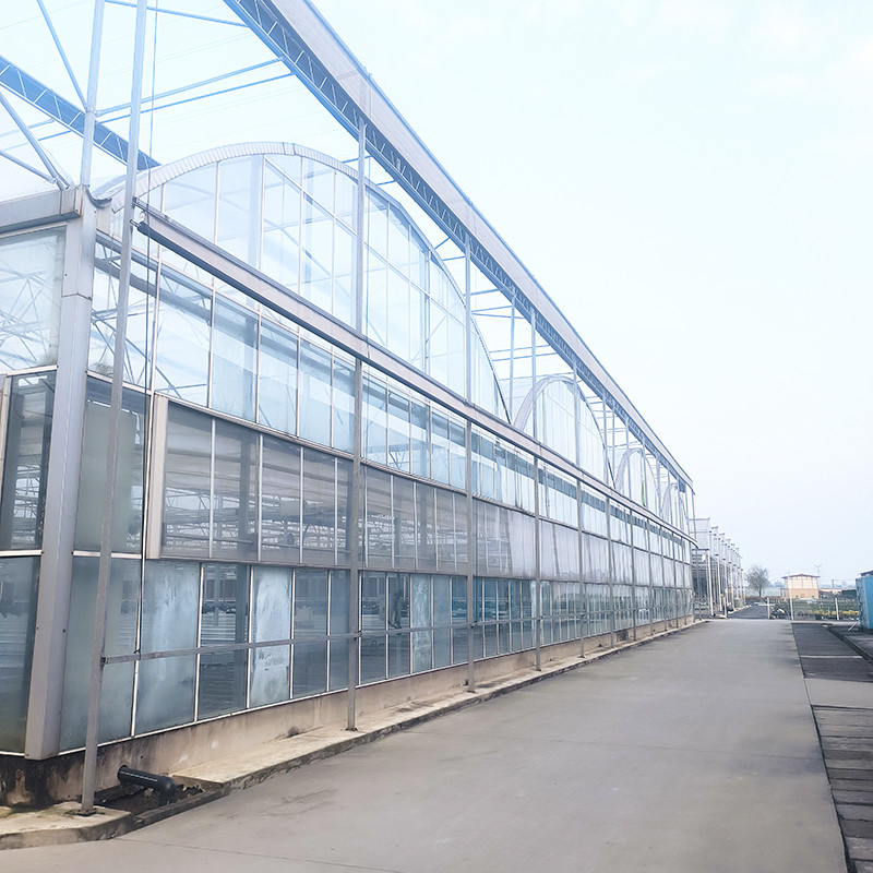 Triangle Roof Molding Komersial Multi-span Large Tunnel Glass House Bunga Menumbuhkan Rumah Kaca Gotik