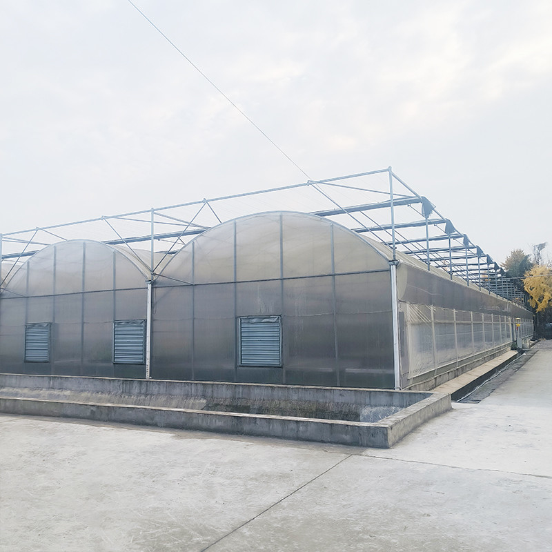 Triangle Roof Molding Komersial Multi-span Large Tunnel Glass House Bunga Menumbuhkan Rumah Kaca Gotik