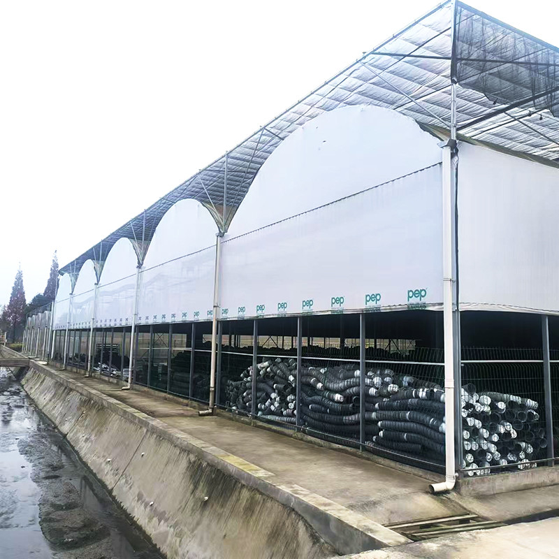 Hot Galvanized Steel Pipe Nursery Multi-span Panda Film Blackout System Jamur Rumah kaca tropis