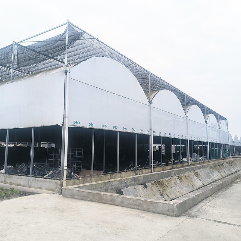 Hot Galvanized Steel Pipe Nursery Multi-span Panda Film Blackout System Jamur Rumah kaca tropis
