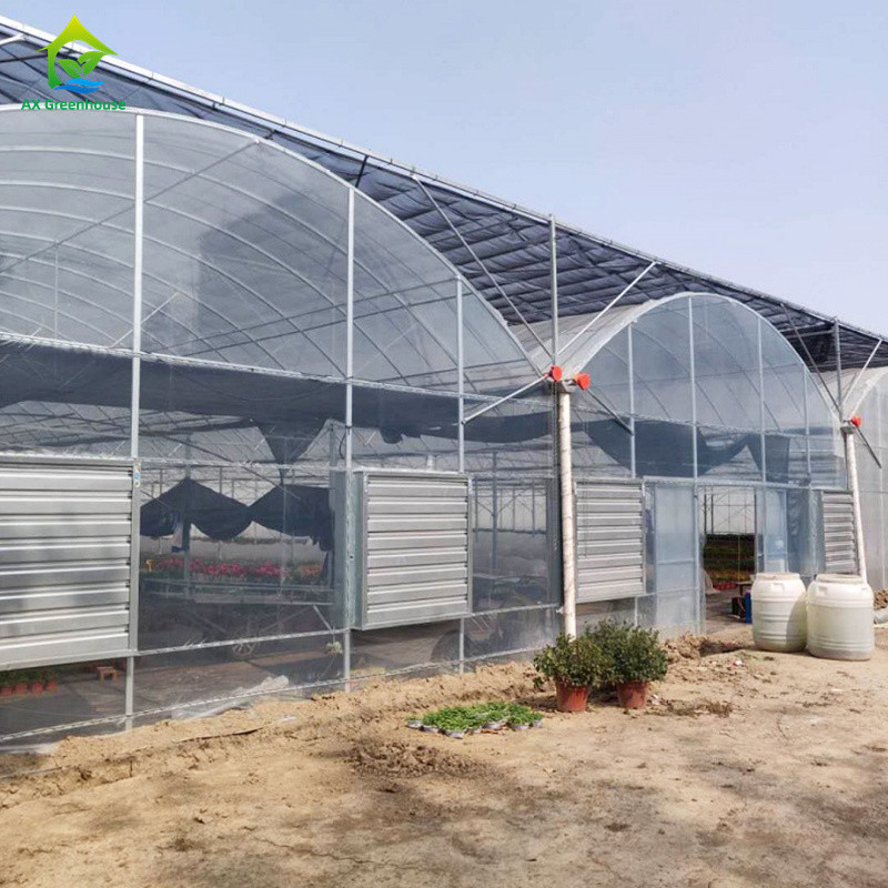 Struktur yang stabil tahan angin multi-span terowongan besar Poly Film Hydroponic rumah kaca untuk irigasi