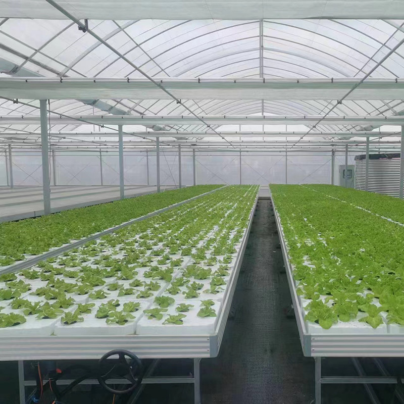 Pertanian Ukuran Custom Greenhouse Tumbuh Meja Hydroponic Ebb Flood Rolling Bench