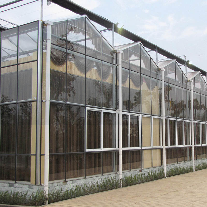 Hot Dip Galvanized Steel Multi-Span Venlo Tempered Glass Tomato Greenhouse untuk Kondisi Pertumbuhan yang Optimal