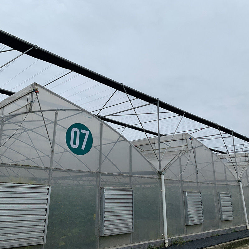 Plastik UV Film Poly Tunnel Pertanian Sawtooth Multi-span Custom rumah kaca untuk dijual