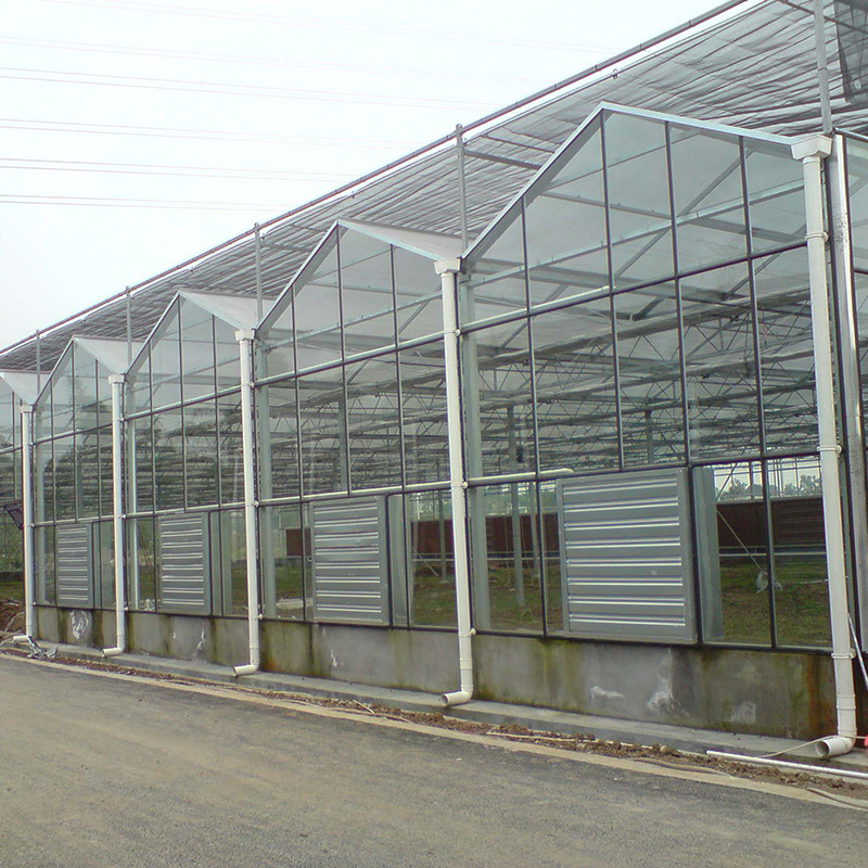 Hot Dip Galvanized Steel Structure Automatic Ventilation Agricultural Glass Venlo Multi-span Tomato Seedling Greenhouse Rumah kaca