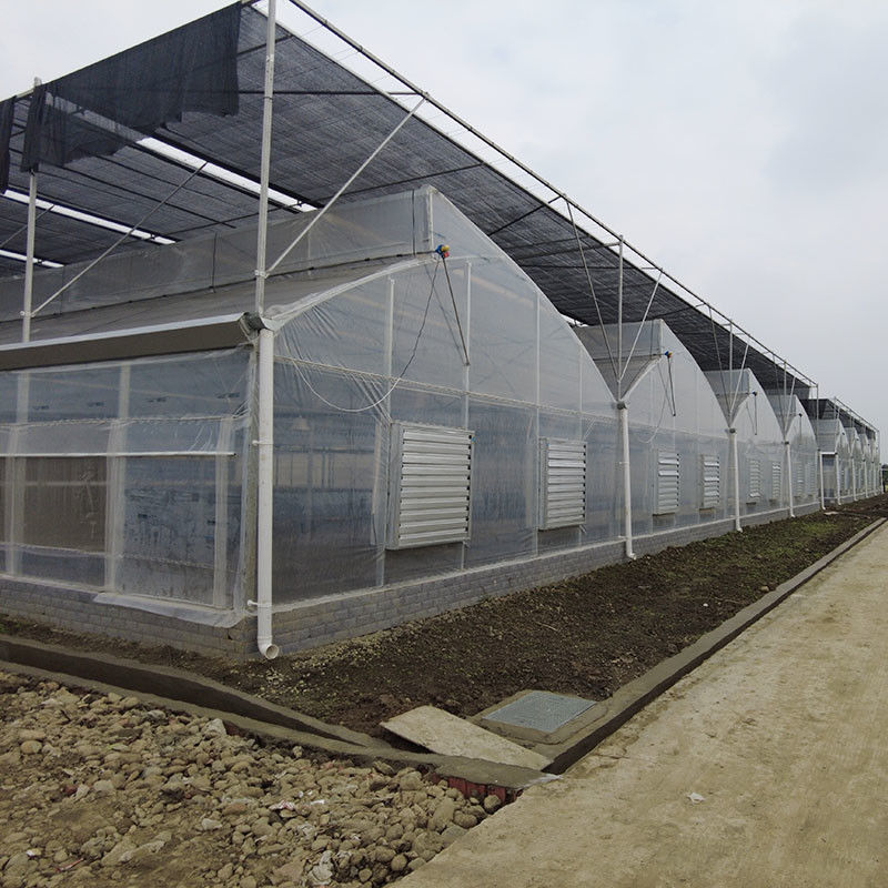 Plastik UV Film Poly Tunnel Pertanian Sawtooth Multi-span Custom rumah kaca untuk dijual