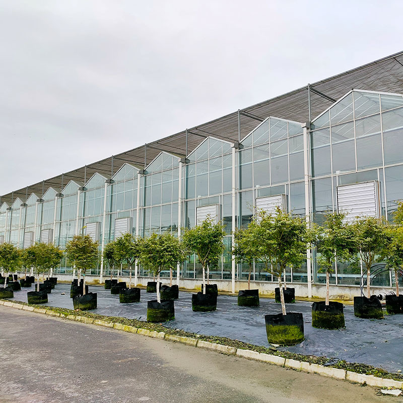 Hot Dip Galvanized Steel Structure Automatic Ventilation Agricultural Glass Venlo Multi-span Tomato Seedling Greenhouse Rumah kaca