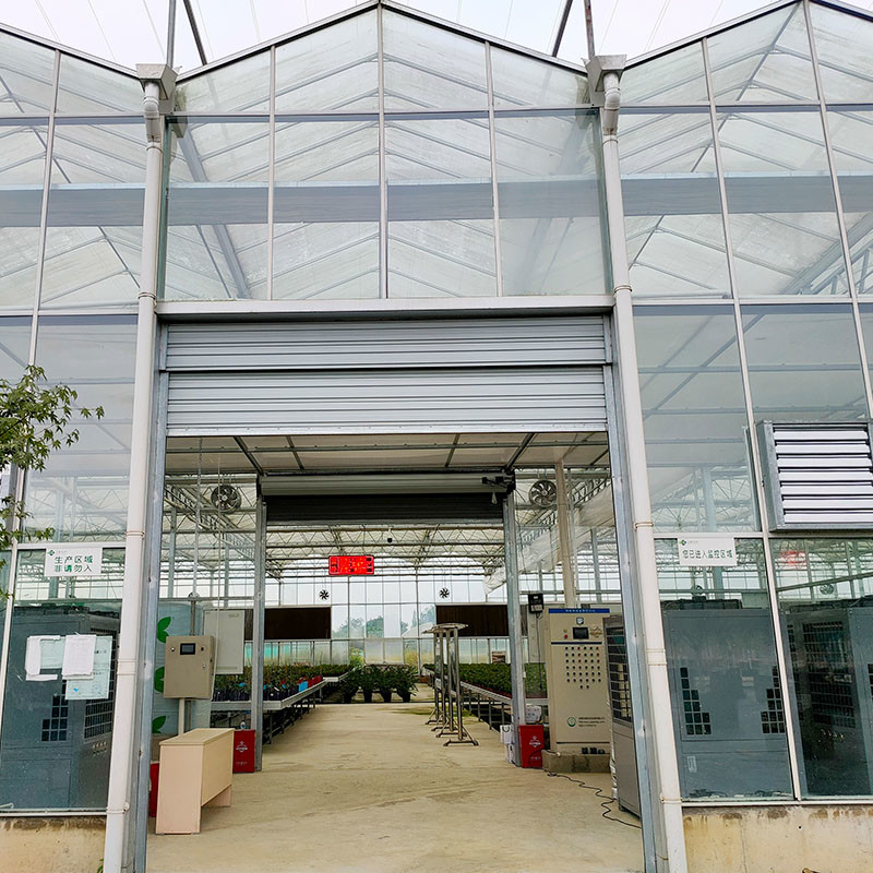 Hot Dip Galvanized Steel Structure Automatic Ventilation Agricultural Glass Venlo Multi-span Tomato Seedling Greenhouse Rumah kaca