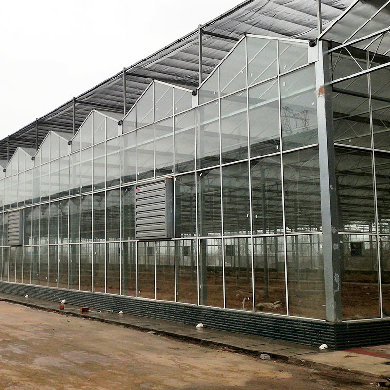 Panel Kaca Pertanian Tipe Venlo Panel Tempered Rangka Baja Galvanis untuk Budidaya Mentimun