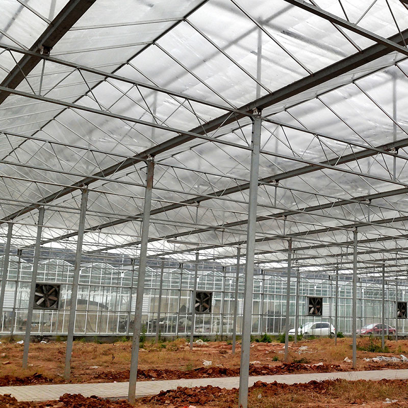 Ventilasi Otomatis Kaca Pertanian Venlo Rumah Kaca Tomat Terowongan Besar dengan Sistem Pendingin Pad dan Sistem Kipas