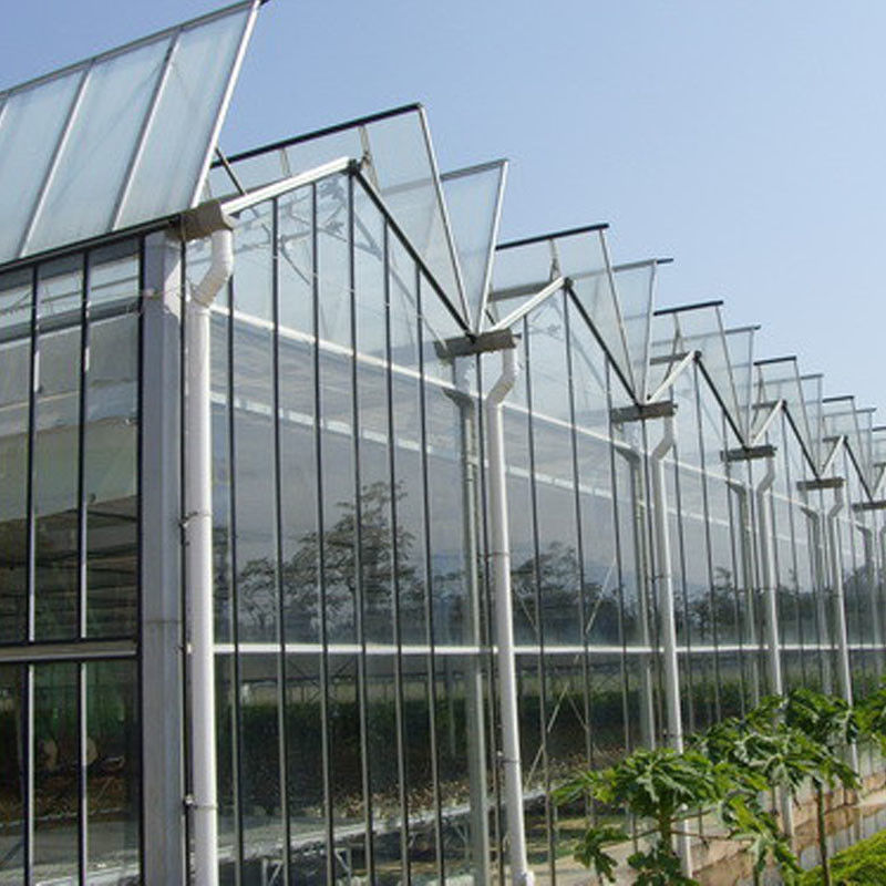 Rumah Kaca Kaca Pembibitan Bunga Pertanian Multi-span Tipe Venlo