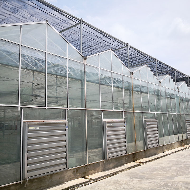 Ventilasi Otomatis Kaca Pertanian Venlo Rumah Kaca Tomat Terowongan Besar dengan Sistem Pendingin Pad dan Sistem Kipas