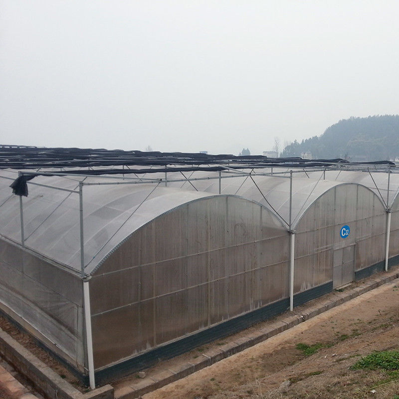 Rumah Kaca Terowongan Poli yang Andal Rangka Baja Anti Karat Film Tahan Lama untuk Tomat