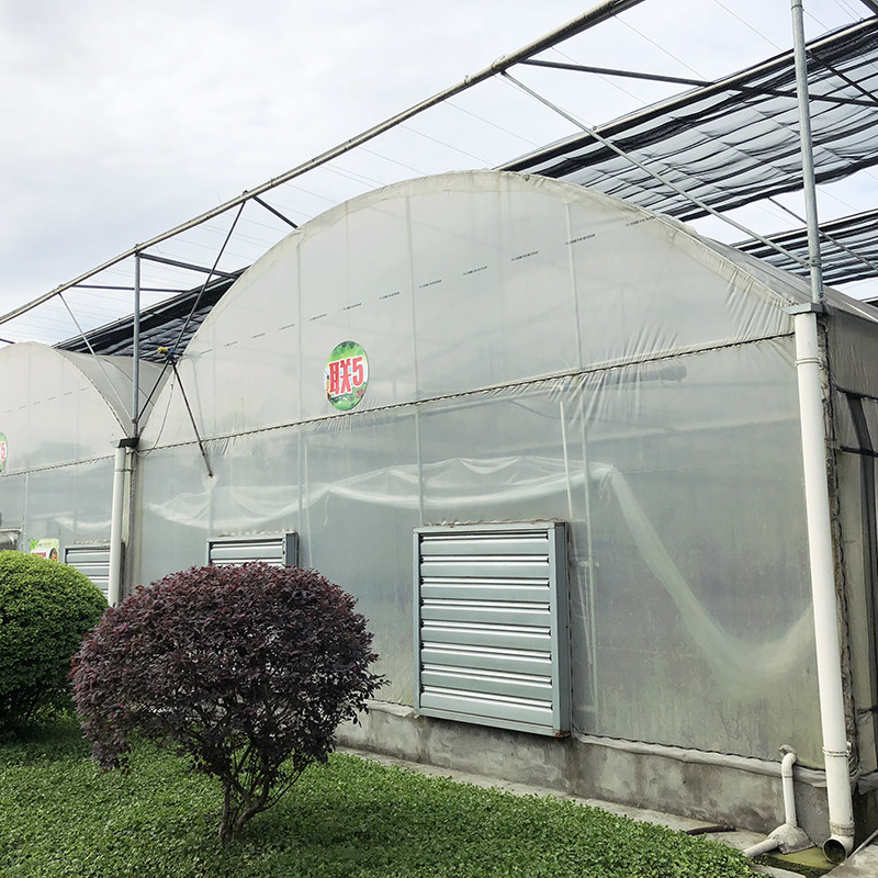 Struktur yang stabil Industri Plastik PE Film Multi-span Rumah Bunga Pertanian Poly Tunnel Greenhouse