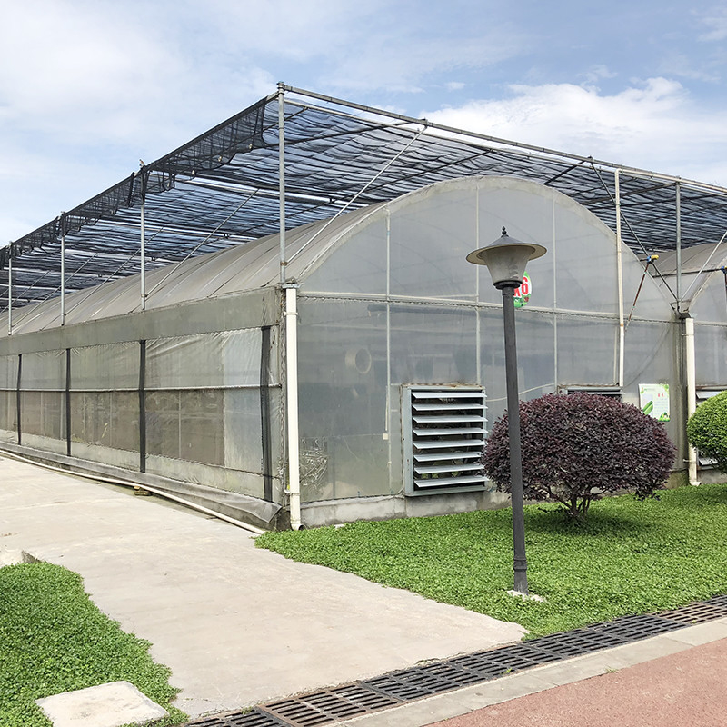 Struktur yang stabil Industri Plastik PE Film Multi-span Rumah Bunga Pertanian Poly Tunnel Greenhouse