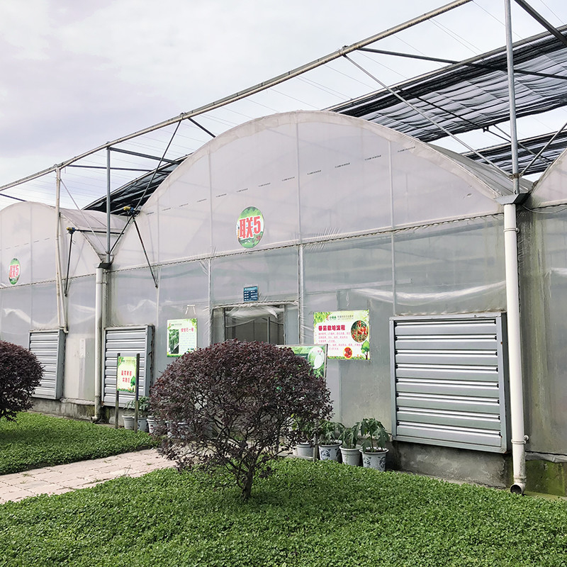 Struktur yang stabil Industri Plastik PE Film Multi-span Rumah Bunga Pertanian Poly Tunnel Greenhouse