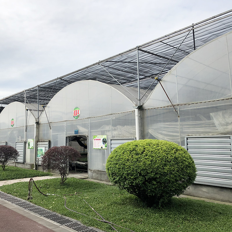 Struktur Baja Terowongan Besar Custom Multi-span Plastik Blueberry tumbuh rumah kaca untuk struktur yang stabil