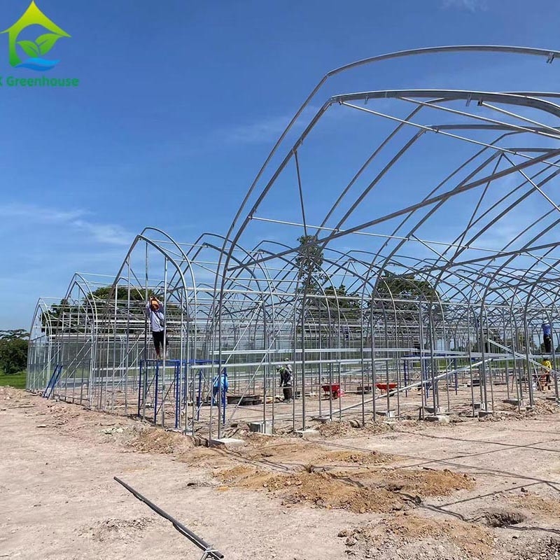 Tenda Rumah Kaca Film Single-span untuk Pertanian Komersial