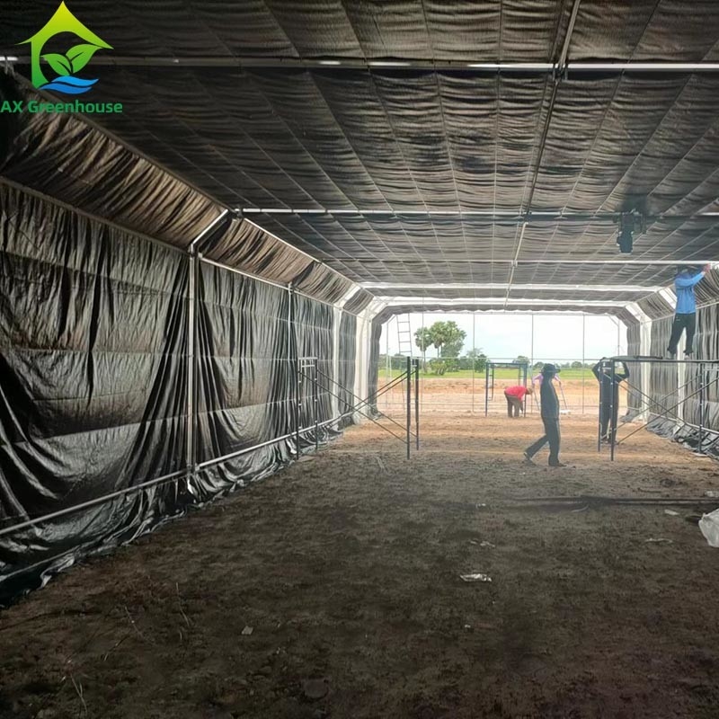 Tenda Rumah Kaca Film Single-span untuk Pertanian Komersial