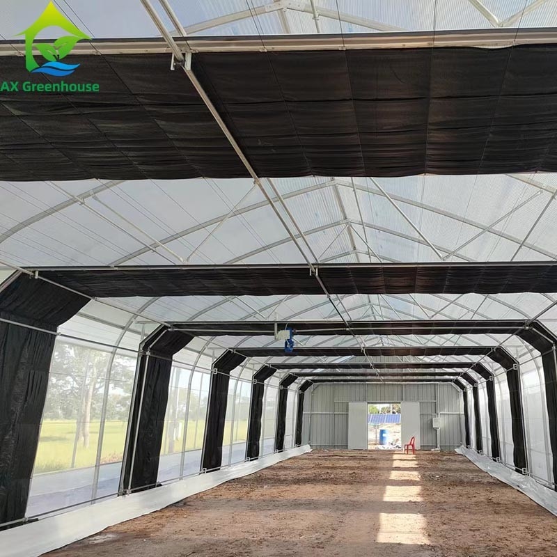 Tenda Rumah Kaca Film Single-span untuk Pertanian Komersial