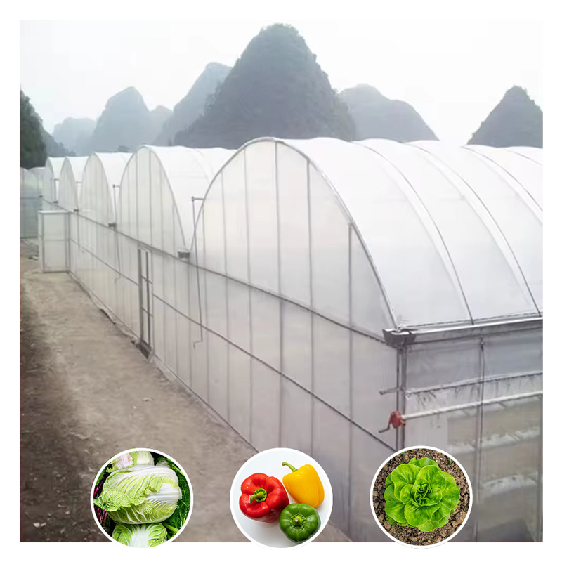 Hot Sale Customized Poly Tunnel Multi-span UV Resistant Film Greenhouses untuk Tomat