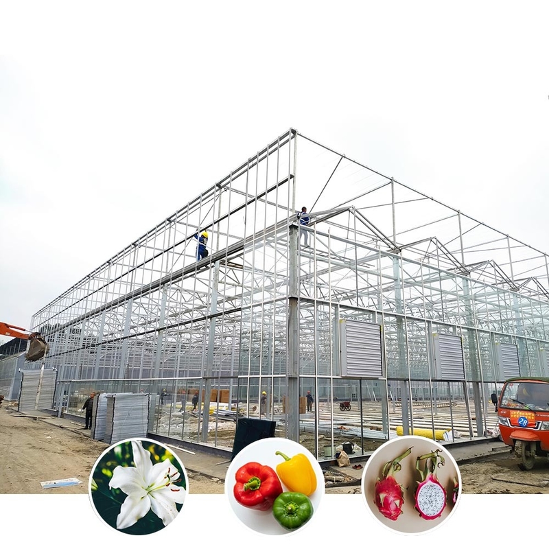 Multi Span Venlo Style Glass Agricultural Greenhouse dengan Triangle Roof Molding dan Ventilasi Sisi Atas untuk Ventilasi