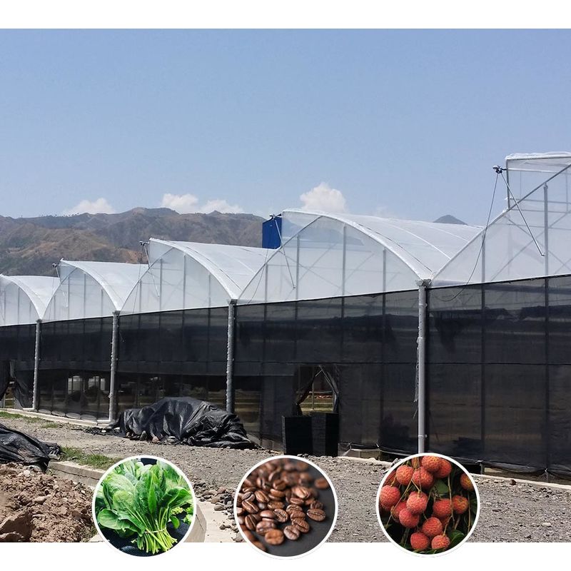 Plastik UV Film Poly Tunnel Pertanian Sawtooth Multi-span Custom rumah kaca untuk dijual