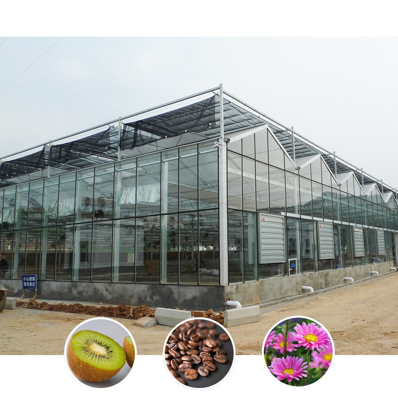 Multi Span Venlo Style Glass Agricultural Greenhouse dengan Triangle Roof Molding dan Ventilasi Sisi Atas untuk Ventilasi