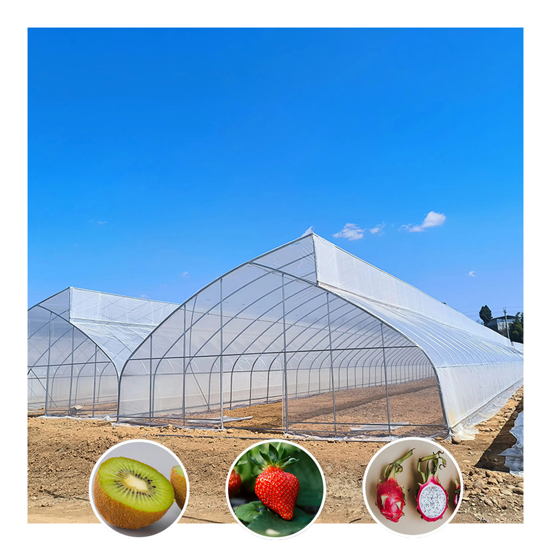Single-Span Sawtooth Desain Tropical Plastic Film Greenhouse Tunnel Disesuaikan untuk Pertanian Sayuran