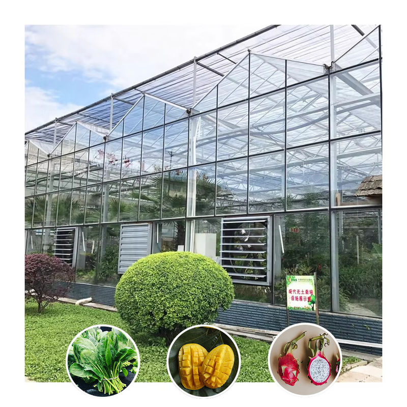 Jenis Venlo Galvanized Large Tunnel Rumah Kaca Pertanian Rumah Kaca Untuk Bunga
