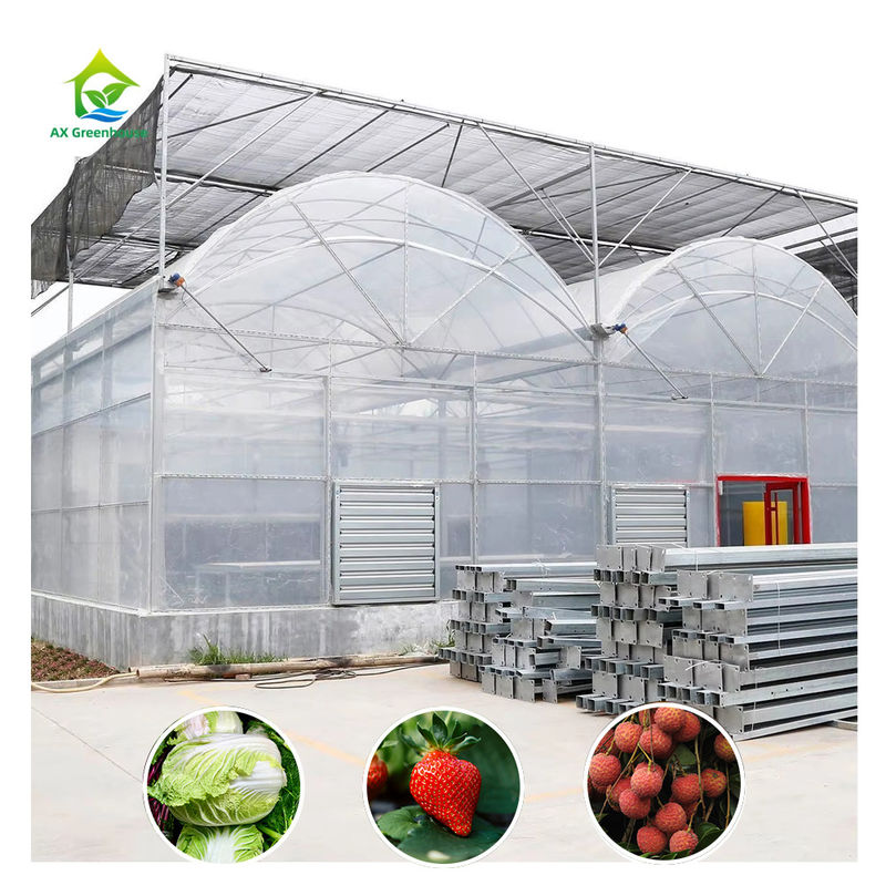 Rumah Kaca Polytunnel Multi-Rentang Tahan Lama Baja Tugas Berat Tahan Angin Salju Pertanian Komersial Pembibitan