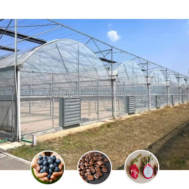 Rumah Kaca Polytunnel Multi-Rentang Tahan Lama Baja Tugas Berat Tahan Angin Salju Pertanian Komersial Pembibitan