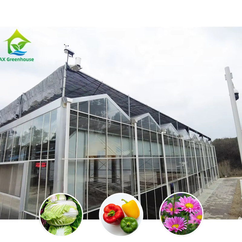 Multi Span Venlo Style Glass Agricultural Greenhouse dengan Triangle Roof Molding dan Ventilasi Sisi Atas untuk Ventilasi