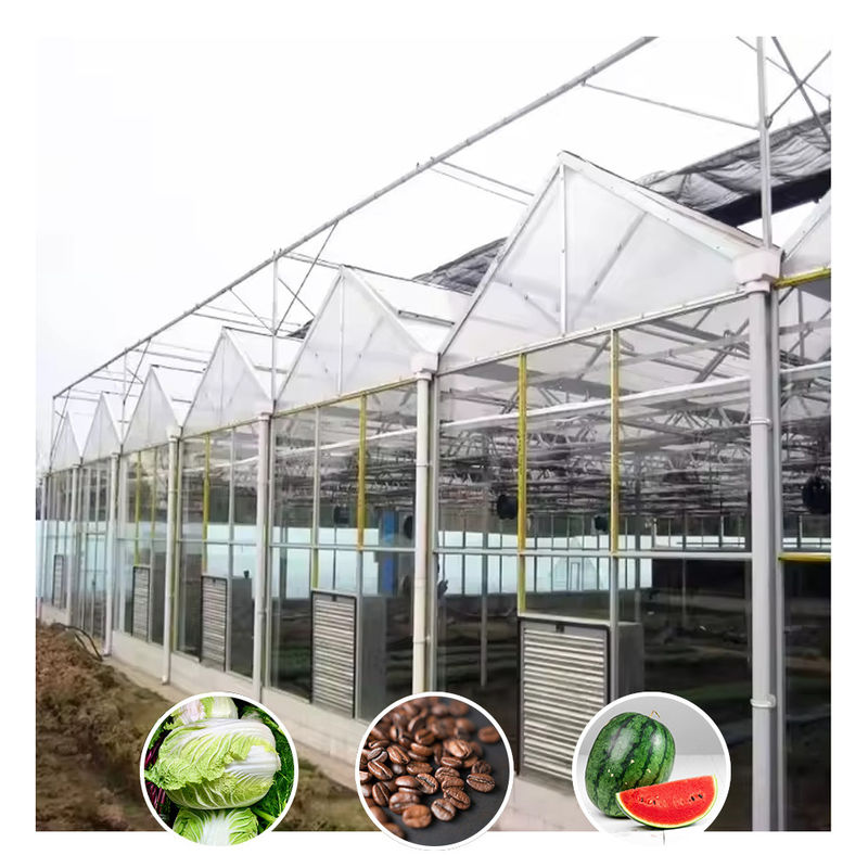 Jenis Venlo Galvanized Large Tunnel Rumah Kaca Pertanian Rumah Kaca Untuk Bunga