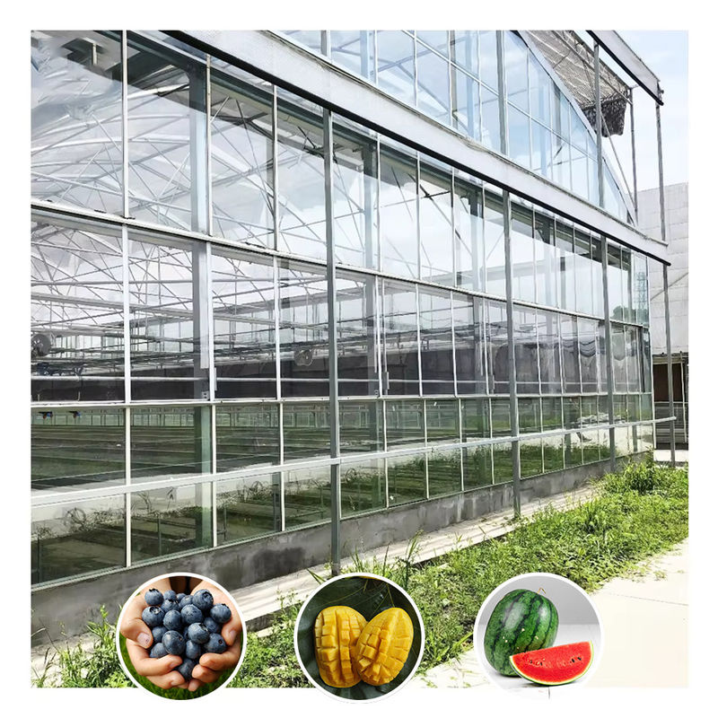 Jenis Venlo Galvanized Large Tunnel Rumah Kaca Pertanian Rumah Kaca Untuk Bunga