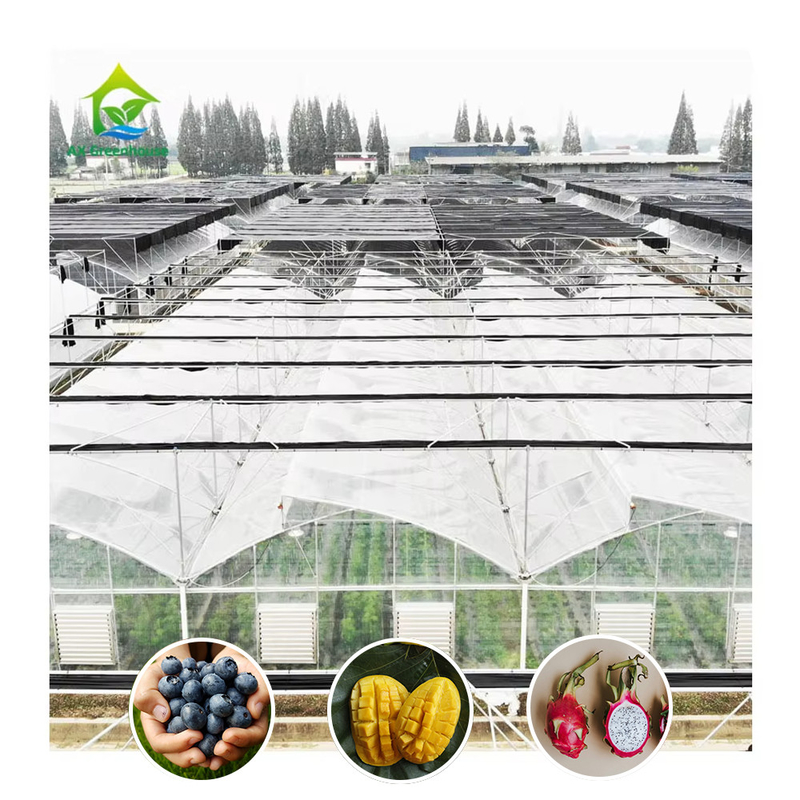 Hot Galvanized Steel Structure Multi-Span Plastic Film Custom Greenhouse dengan Tropical Top Ventilation Sawtooth Design
