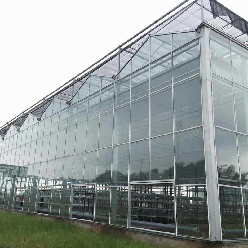 Multi Span Venlo Style Glass Agricultural Greenhouse dengan Triangle Roof Molding dan Ventilasi Sisi Atas untuk Ventilasi