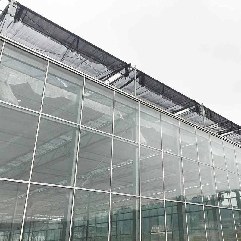 Multi Span Venlo Style Glass Agricultural Greenhouse dengan Triangle Roof Molding dan Ventilasi Sisi Atas untuk Ventilasi