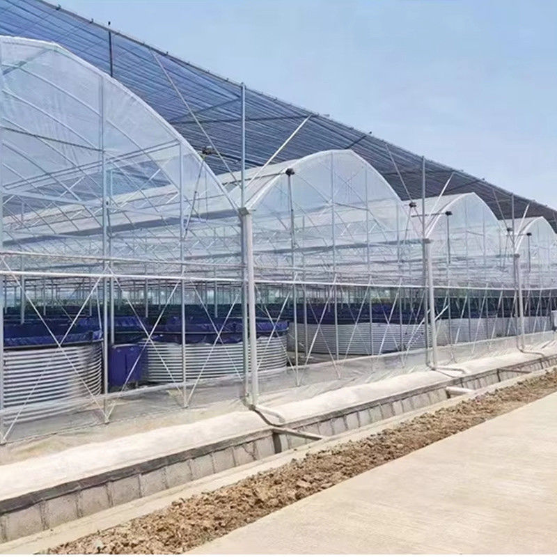 Rumah Kaca Polytunnel Multi-Rentang Tahan Lama Baja Tugas Berat Tahan Angin Salju Pertanian Komersial Pembibitan