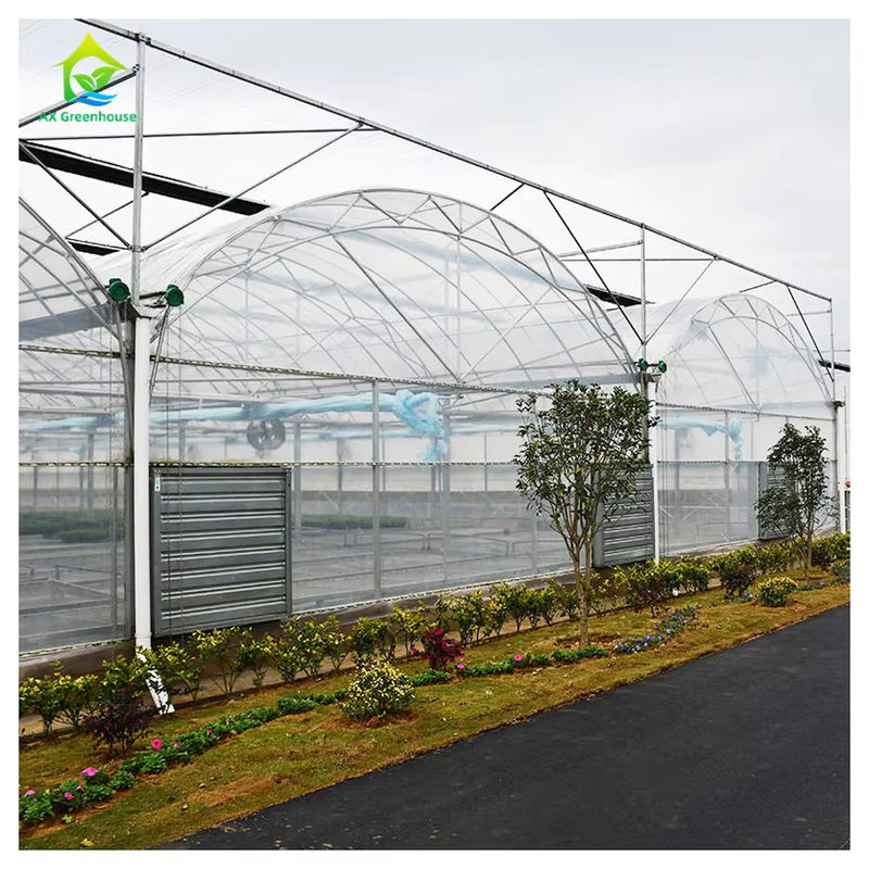 Komersial Polytunnel Multi-Span Rumah Kaca Desain Modular Budidaya Berskala Besar Galvanis Baja Film UV