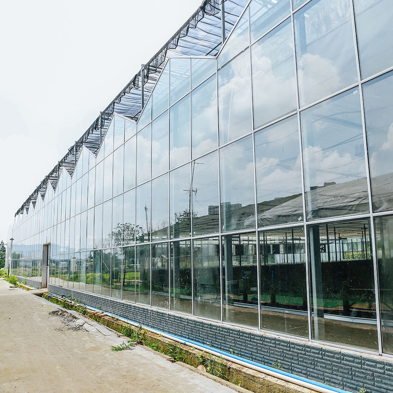 Rumah Kaca Kaca Pembibitan Bunga Pertanian Multi-span Tipe Venlo