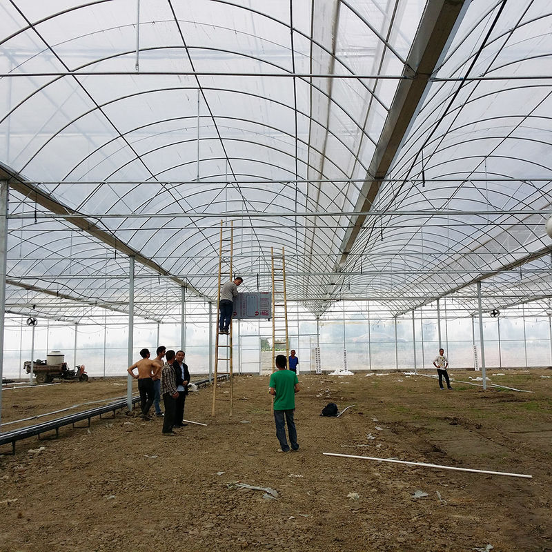 Rumah Kaca Terowongan Poli yang Andal Rangka Baja Anti Karat Film Tahan Lama untuk Tomat