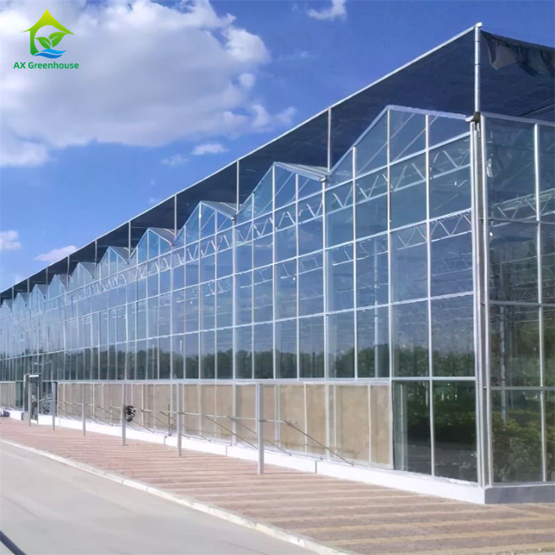 Peralatan Budidaya Stroberi Sayuran di Rumah Kaca Polikarbonat Kaca Tahan Lama - Kit Rumah Kaca Serba Guna