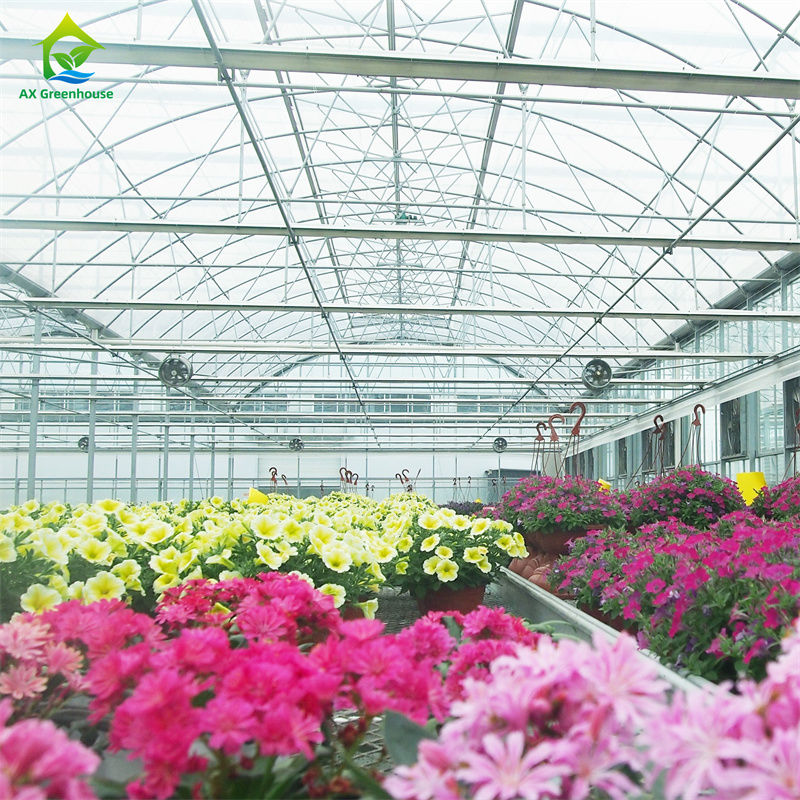 Smart Tempered Glass Transparan Green House Besar Multi-span Hot Dip Galvanized Steel PipeGlass Greenhouses Pertanian untuk Budidaya Bunga Tanaman