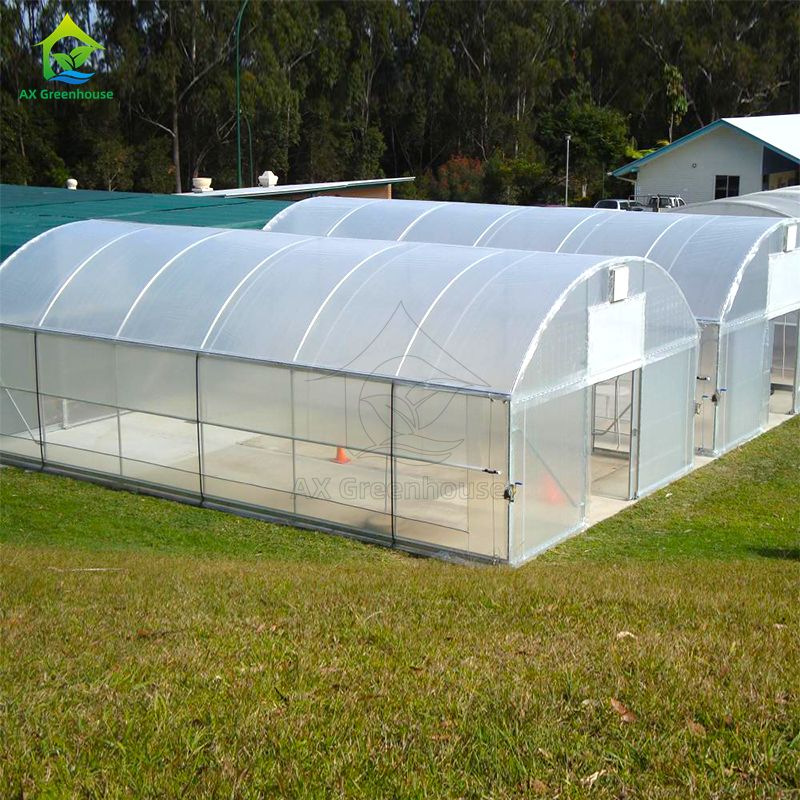 Hot Galvanized Steel Anti UV 200 Micron Poly Film Single Span Greenhouse Mudah dirakit untuk budidaya tomat
